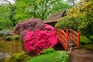 Image showing Japanese garden, Park Clingendael, The Hague, Netherlands