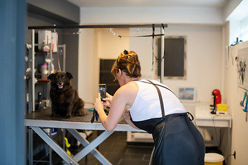 Image showing pet hairdresser woman taking pictures of cute black dog