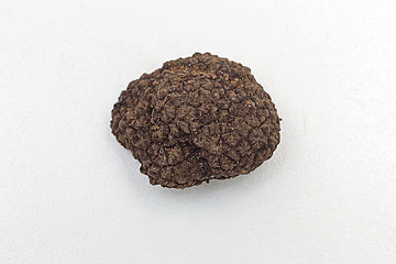 Image showing Truffle