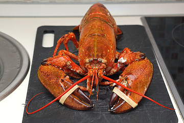 Image showing Lobster
