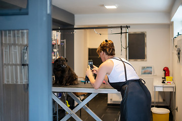 Image showing pet hairdresser woman taking pictures of cute black dog