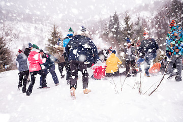 Image showing group of young people having fun in beautiful winter landscape