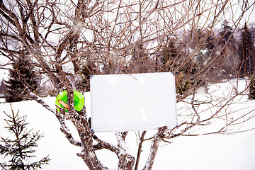 Image showing whiteboard on winter tree