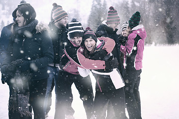 Image showing portrait of group young people in beautiful winter landscape