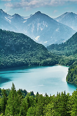 Image showing Alpensee Lake in Alps