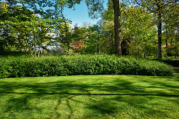 Image showing Green lawn in Keukenhof flower garden, Netherlands