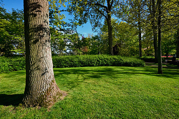 Image showing Green lawn in Keukenhof flower garden, Netherlands