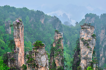 Image showing Zhangjiajie mountains, China