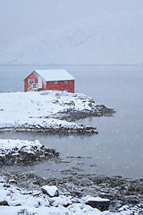 Image showing Red rorbu house in winter, Lofoten islands, Norway