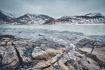 Image showing Rocky coast of fjord in Norway