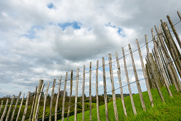 Image showing green grass meadow fence in Ireland