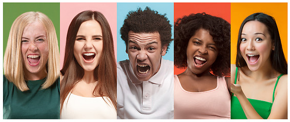 Image showing collage of photos of attractive smiling happy women and afro man