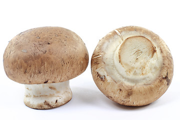 Image showing Macro picture of Organic Cremini mushrooms.  