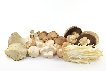 Image showing Pile Mixed sorts Organic mushrooms. 