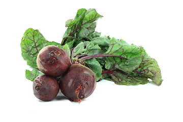 Image showing Red edible nutritious roots ? Beets, with leaves.  