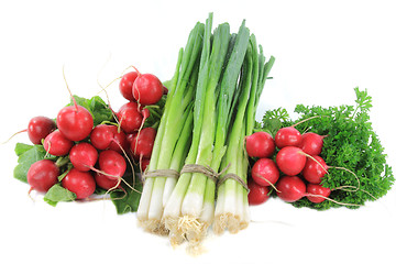 Image showing Pile vegetables - radishes, fresh onion, parsley. 