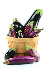 Image showing Assorted Eggplants in Bushel Basket on white. 