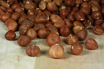Image showing Shelled Hazelnuts. 