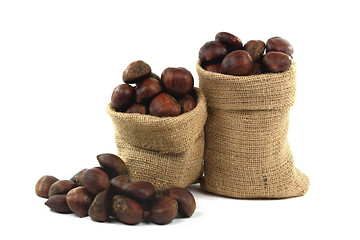 Image showing Chestnuts. 