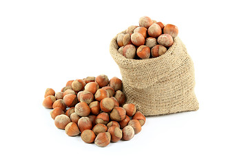 Image showing Unshelled Hazelnuts  Nuts. 