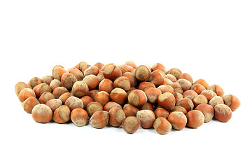 Image showing Pile Unshelled Hazelnuts  Nuts. 