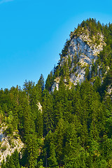 Image showing Rugged Hill in Hohenschwangau