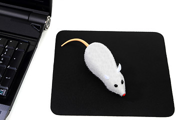 Image showing Two buttons Wireless mouse, Funny Computer picture 