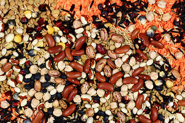 Image showing Seeds, Beans, Kernels that are cooking by boiling 