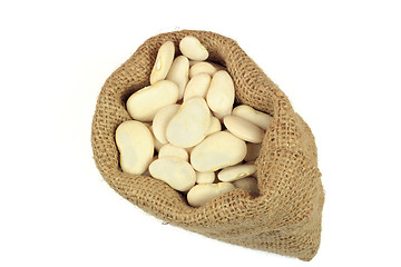 Image showing Seeds Big Lima (Butter) bean. 