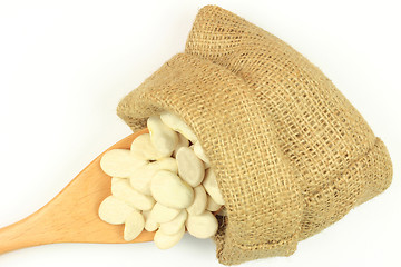 Image showing Seeds Big Lima (Butter) bean. 