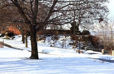 Image showing Winter in park. 