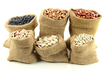 Image showing Different kinds Beans. 