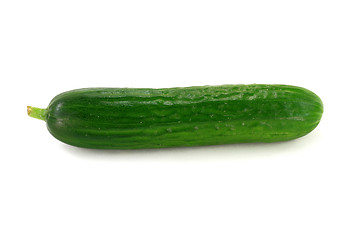 Image showing Single Baby Cucumber. 