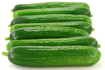 Image showing Group Fresh Baby Cucumbers. 