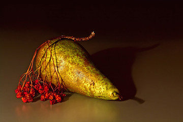 Image showing Pears and the ashberry twig