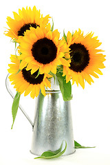 Image showing Sunflowers Bouquet. 