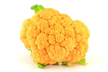 Image showing Head Orange Cauliflower. 