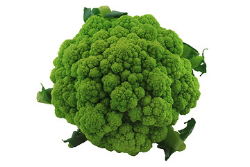 Image showing Head Green Cauliflower. 