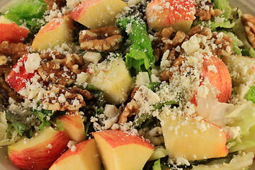 Image showing Close-up view of Salad Lettuce, Apples, Walnuts, Feta Cheese 