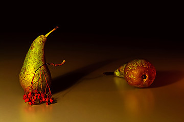 Image showing Two pears and the ashberry twig