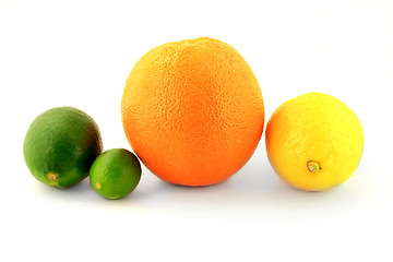 Image showing Group Organic Citrus Fruits - Lemon, Orange, Lime and Key Lime,  