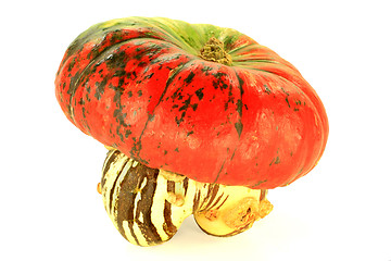 Image showing Turban Squash 