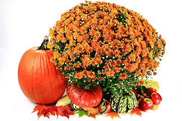 Image showing Decoration for Thanksgiving Day  