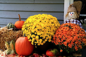 Image showing Thanksgiving Decoration 