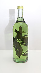 Image showing Green Herbs Brandy