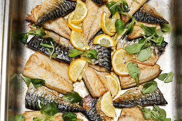 Image showing Mackerel Fillet