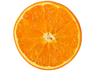 Image showing Orange half on white
