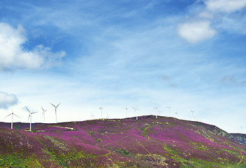 Image showing Wind Turbines on Lavender Hills