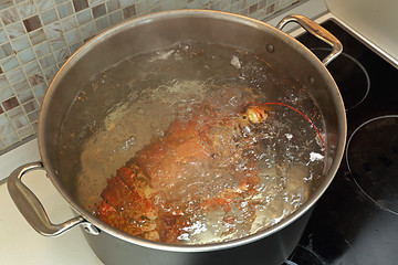 Image showing Cooking Lobster