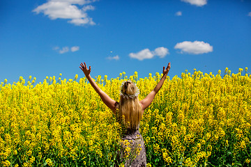 Image showing Woman in a field of golden yellow flowers Canola